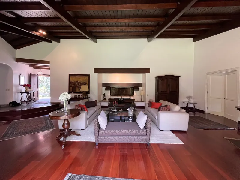 Sala con chimenea y techos de madera