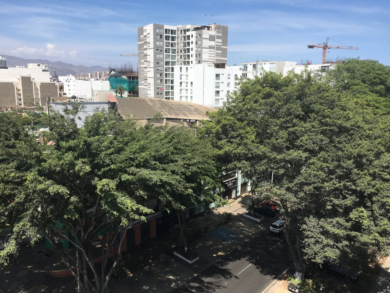 Vista exterior al parque desde el departamento
