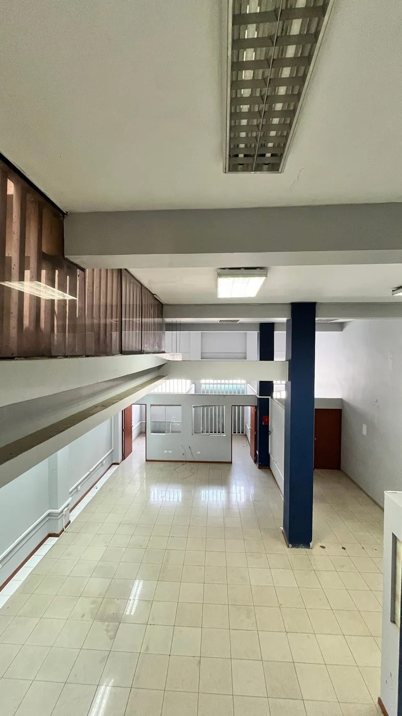 Vista desde el mezzanine