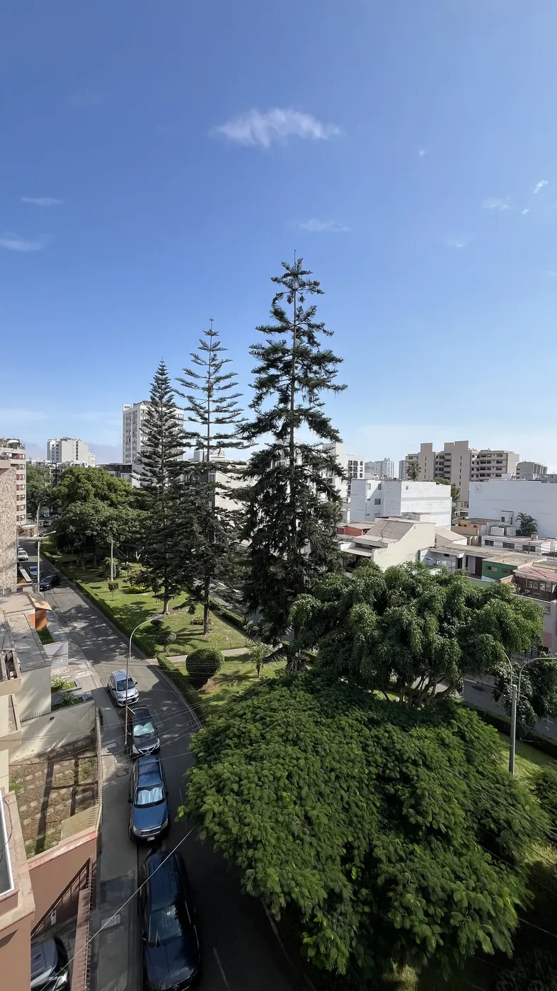 Vista al parque desde el departamento