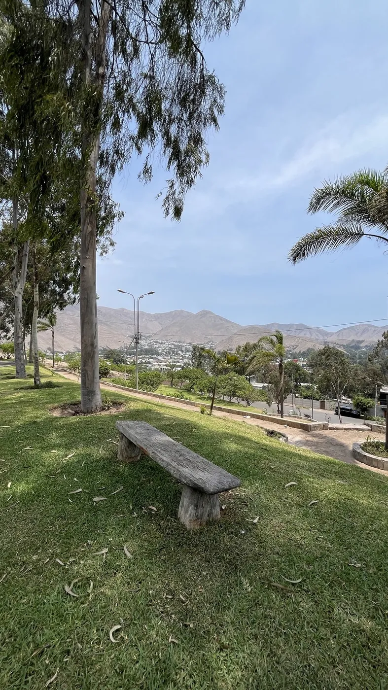 Áreas verdes de Rinconada Alta con vista a los cerros